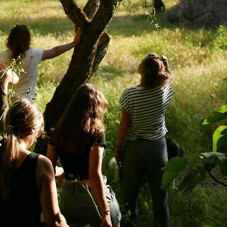 Casa Do Meio Em Quinta De Sao Pedro De Vir-A-Corca Monsanto Dış mekan fotoğraf