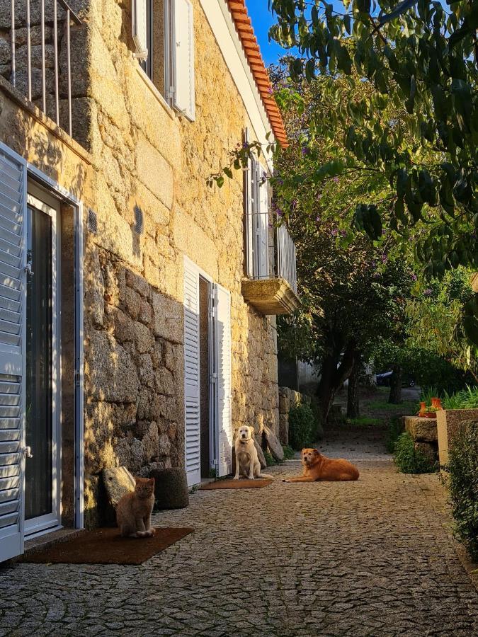 Casa Do Meio Em Quinta De Sao Pedro De Vir-A-Corca Monsanto Dış mekan fotoğraf